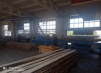 Wood processing plant in the Rivne region for sale